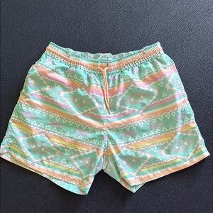 Chubbies Swim Shorts